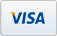 buy_today/visa.png